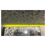 NASA Lunar and Planetary Institute Moon Landing Photo Display - 16L x 20H