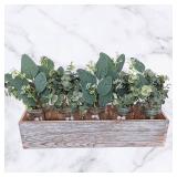 Winlyn 20 Pcs Mixed Artificial Oval Eucalyptus Leaves Bulk with White Seeds Stems and Spray for Vase Floral Wreath Bouquets Wedding Greenery Decoration