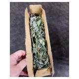 Winlyn 20 Pcs Mixed Artificial Oval Eucalyptus Leaves Bulk with White Seeds Stems and Spray for Vase Floral Wreath Bouquets Wedding Greenery Decoration