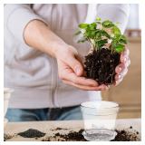 WSMKSZ 4 Inch Clear Nursery Pots, 8 Pack Highly Transparent Plant Pots for Small Indoor Plants with Drainage Holes and Trays, Plastic Seedling Starter Planters for Flowers