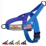 Annchwool No Pull Dog Harness with Soft Padded Handle,Reflective Strip Escape Proof and Quick Fit to Adjust Dog Harness,Easy for Training Walking for Small & Medium and Large Dogs(Blue,L)