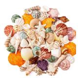 WeDoSoy Sea Shell Mixed Ocean Shells Set, 15 Kinds 1.2\"-2.7\" Various Sizes Natural Seashell & Starfish for Beach Themed Decor, DIY Crafts, Vase Fillers, Fish Tank, Home, Wedding and Party Decoration