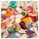 WeDoSoy Sea Shell Mixed Ocean Shells Set, 15 Kinds 1.2\"-2.7\" Various Sizes Natural Seashell & Starfish for Beach Themed Decor, DIY Crafts, Vase Fillers, Fish Tank, Home, Wedding and Party Decoration