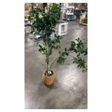 Bay Leaf Tree in Basket - Thresholdâ¢ designed with Studio McGee - Retail: $150