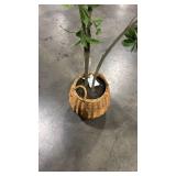 Bay Leaf Tree in Basket - Thresholdâ¢ designed with Studio McGee - Retail: $150