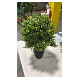 24\" Faux Boxwood Ball Plants, Topiary Trees Artificial Outdoor - Retail: $0