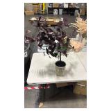 34\" Black Plum Leaf Potted Artificial Fall Mini Tree - Hearth & Handâ¢ with Magnolia - Retail: $60