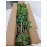 Bellacat Faux Black Olive Tree, 7ft