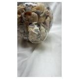 Clear Glass Vase with Seashell Collection