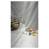 Clear Glass Vase with Seashell Collection