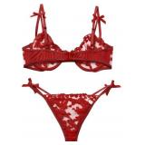 AnloveKiss Sexy Underwire Cute Push Up Strappy Embroidered Mesh Sheer Lingerie Set See Through Panty Bra (Red, M)