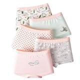 Blueleyu Underwear Girls Boxer Briefs Cotton Comfort Breathable Underpants Boxer for Toddler and Big Girls (14-16 Years)