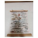 Fish Type Decor 12 Ã 16.5in