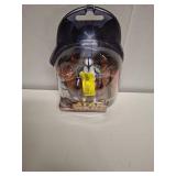Revenge of the Sith Action Figure (6in)
