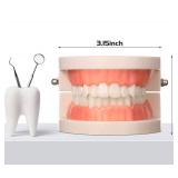 FACTORY SEALED - Nuanchu 4 Pcs Dental Teeth Model Standard Teeth Models Plastic Mouth Model Bulk Teaching Study Supplies for Teaching Dentist Dental Clean Display, 3.15 x 2.2 in