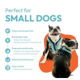 Gooby Comfort X One Dog Harness - Head-in Dog Harness for Small & Medium Sized Dogs - Escape-Free & Choke Free - Breathable Mesh, Shock Absorbing, Easy Snap & Swivel Buckles - Atlanta Peach, 2X-Large