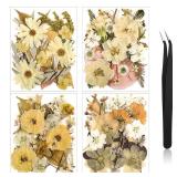 Nuanchu Pressed Flowers Bulk Dried Flower for Crafts, Dried Wildflowers Leave Natural with Tweezer for Resin Mold Scrapbooking Nail Soap Making DIY(Retro Style,Warm Color)