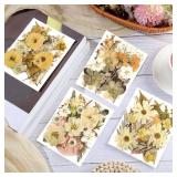 Nuanchu Pressed Flowers Bulk Dried Flower for Crafts, Dried Wildflowers Leave Natural with Tweezer for Resin Mold Scrapbooking Nail Soap Making DIY(Retro Style,Warm Color)