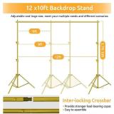 Photo Video Studio Backdrop Stand- Titanium Gold, 12(W) x 10(H) ft Heavy Duty Adjustable Photography Muslin Background Support System Kit with Carry Bag,4 Spring Clamps