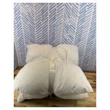 Utopia Bedding Throw Pillows Insert (Pack of 2, White) - 18 x 18 Inches Bed and Couch Pillows - Indoor Decorative Pillow