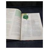 D&D 5th Edition Player