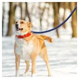 Voyager Leash Heavy Duty Leash for Medium & Large Dogs (Blue, 48 Inch)