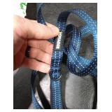 Voyager Leash Heavy Duty Leash for Medium & Large Dogs (Blue, 48 Inch)