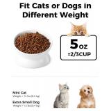 LoeJan Elevated Cat Food Bowl, 5 Oz Ceramic Raised and Tilted Water Bowl, Anti Vomiting and Protect Pets