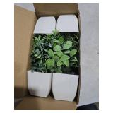 Der Rose 4 Pack Fake Plants Mini Artificial Greenery Potted Plants for Home Decor Indoor Office Table Room Farmhouse Bathroom Decor