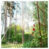 Feekoon 2 Pack Brass Adjustable Nozzle Replacement Compatible with Roundup 181331, All Brass Screw on Cone Nozzle Repair Kit having Gaskets Compatible with Scotts, Roundup, Smith Lawn, Garden Sprayer