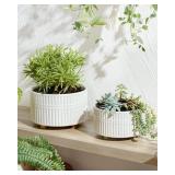 LE TAUCI Succulent Pots, 6.5+8 Inch Ceramic Indoor Plant Pot with Drainage Hole, Shallow Round Succulent Planters, Set of 2, Matte White