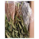 7 ft Artificial Olive Plants with Realistic Leaves and Natural Trunk, Silk Fake Olive Tree in Black Plastic Pot, Faux Olive Tree for Office Home