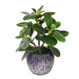 Artificial Potted Plant, Real Touch Artificial Oak Leaves Waterproof Fake Plants Indoor Outdoor, Eco Friendly Modern Concrete Greenery Plant Pots for Office Home Kitchen Shelf Farmhouse Decor - Retail