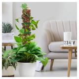 EOX 6 Pcs 24 Inch Plastic Moss Pole for Monstera, Large D Shaped Poles for Climbing Plants Work with Sphagnum Moss, 135 Inch Plant Stake Set of 6, Garden Ties - Retail: $28