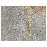 Vintage Iron Art Coins