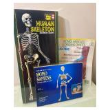 Human Skeleton Puzzles (one glows in the dark) and Bones/Muscles/Organs Chart - All New