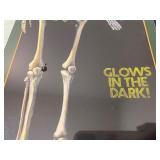 Human Skeleton Puzzles (one glows in the dark) and Bones/Muscles/Organs Chart - All New
