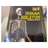 Human Skeleton Puzzles (one glows in the dark) and Bones/Muscles/Organs Chart - All New