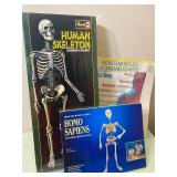 Human Skeleton Puzzles (one glows in the dark) and Bones/Muscles/Organs Chart - All New
