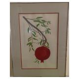 Henry Evans Pomegranate Pencil Signed Print 1974 , Please See Pictures for Dimensions and Print Number