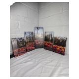 Professional Photography Multi-Panel Print Set - Tulip Garden