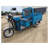 IRET13 Electric Tricycle