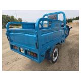 IRET13 Electric Tricycle