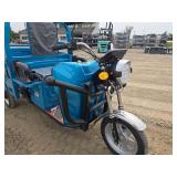 IRET13 Electric Tricycle