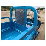 IRET13 Electric Tricycle