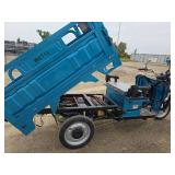 IRET13 Electric Tricycle