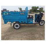 IRET13 Electric Tricycle