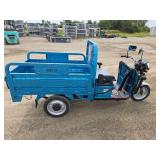 IRET13 Electric Tricycle