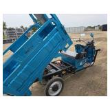 IRET13 Electric Tricycle