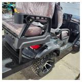 Unused 2025 SDLGC80 4 Passenger GOLF CART
